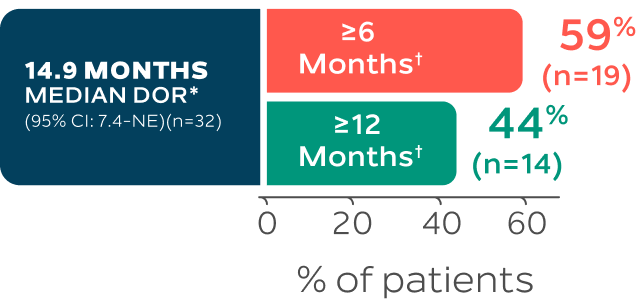 Observed DOR rates at 6 and 12 months graphic