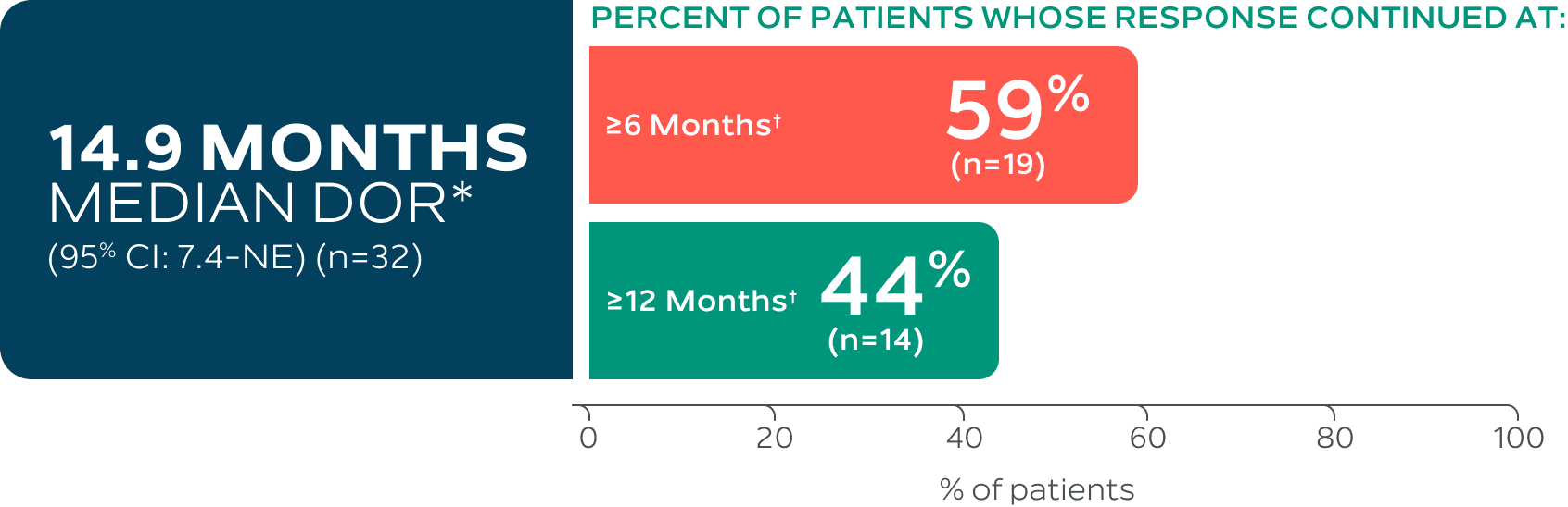 Observed DOR rates at 6 and 12 months graphic